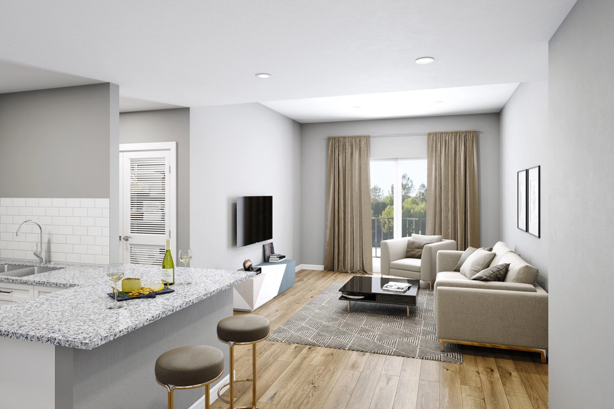 Renovated kitchen and living area